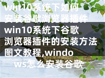 win10系統(tǒng)下如何安裝谷歌瀏覽器插件 win10系統(tǒng)下谷歌瀏覽器插件的安裝方法圖文教程,windows怎么安裝谷歌