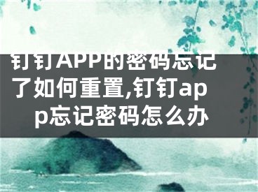 釘釘APP的密碼忘記了如何重置,釘釘app忘記密碼怎么辦