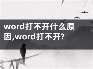 word打不開什么原因,word打不開?