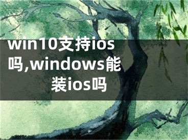 win10支持ios嗎,windows能裝ios嗎