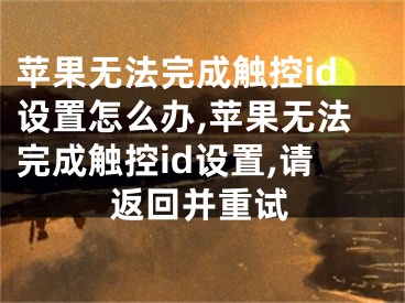 蘋果無法完成觸控id設置怎么辦,蘋果無法完成觸控id設置,請返回并重試