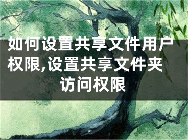 如何設(shè)置共享文件用戶權(quán)限,設(shè)置共享文件夾訪問權(quán)限