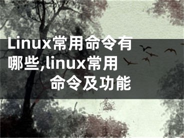 Linux常用命令有哪些,linux常用命令及功能