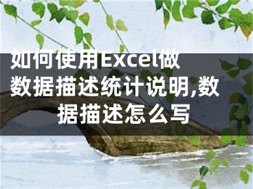 如何使用Excel做數(shù)據(jù)描述統(tǒng)計說明,數(shù)據(jù)描述怎么寫