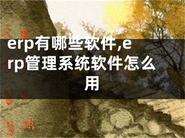 erp有哪些軟件,erp管理系統(tǒng)軟件怎么用