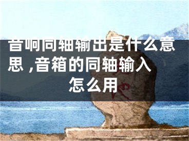 音響同軸輸出是什么意思 ,音箱的同軸輸入怎么用