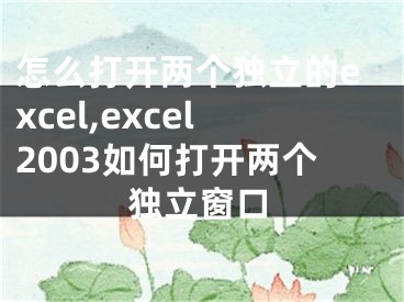 怎么打開兩個獨立的excel,excel2003如何打開兩個獨立窗口