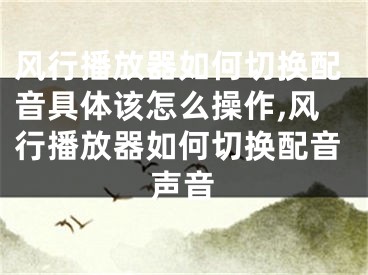 風(fēng)行播放器如何切換配音具體該怎么操作,風(fēng)行播放器如何切換配音聲音