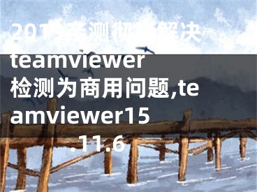 2019親測徹底解決teamviewer檢測為商用問題,teamviewer15.11.6