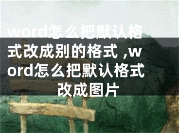 word怎么把默認格式改成別的格式 ,word怎么把默認格式改成圖片