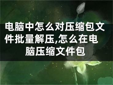 電腦中怎么對(duì)壓縮包文件批量解壓,怎么在電腦壓縮文件包