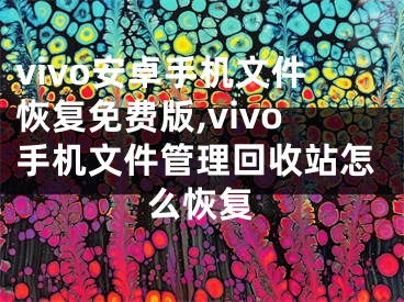 vivo安卓手機文件恢復免費版,vivo手機文件管理回收站怎么恢復