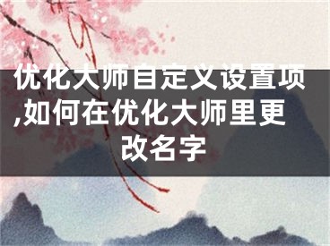 優(yōu)化大師自定義設(shè)置項(xiàng),如何在優(yōu)化大師里更改名字