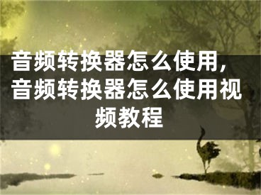 音頻轉(zhuǎn)換器怎么使用,音頻轉(zhuǎn)換器怎么使用視頻教程