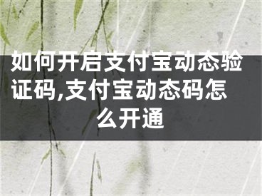 如何開啟支付寶動態(tài)驗證碼,支付寶動態(tài)碼怎么開通