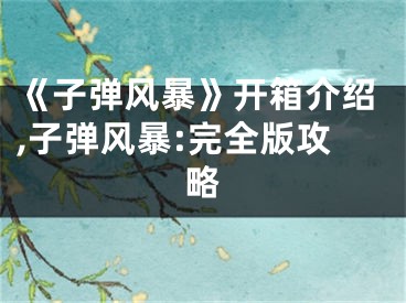 《子彈風(fēng)暴》開箱介紹,子彈風(fēng)暴:完全版攻略