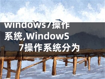 windows7操作系統(tǒng),WindowS7操作系統(tǒng)分為