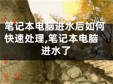 筆記本電腦進水后如何快速處理,筆記本電腦進水了