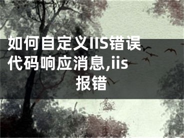 如何自定義IIS錯(cuò)誤代碼響應(yīng)消息,iis報(bào)錯(cuò)