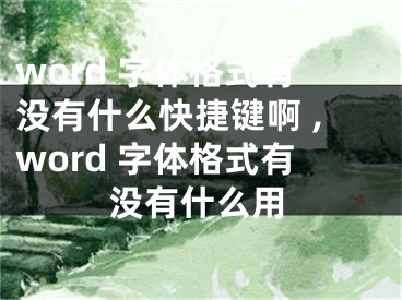 word 字體格式有沒有什么快捷鍵啊 ,word 字體格式有沒有什么用