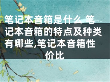 筆記本音箱是什么 筆記本音箱的特點(diǎn)及種類有哪些,筆記本音箱性價(jià)比