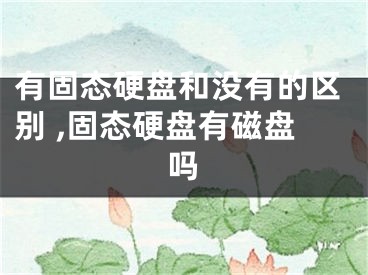 有固態(tài)硬盤和沒(méi)有的區(qū)別 ,固態(tài)硬盤有磁盤嗎