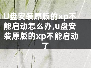 U盤安裝原版的xp不能啟動怎么辦,u盤安裝原版的xp不能啟動了