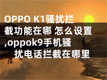 OPPO K1騷擾攔截功能在哪 怎么設(shè)置,oppok9手機(jī)騷擾電話攔截在哪里