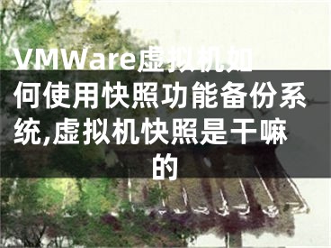 VMWare虛擬機如何使用快照功能備份系統(tǒng),虛擬機快照是干嘛的