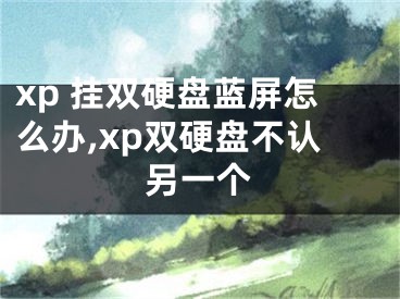 xp 掛雙硬盤藍屏怎么辦,xp雙硬盤不認另一個