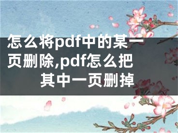 怎么將pdf中的某一頁刪除,pdf怎么把其中一頁刪掉