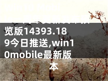 Win10 Mobile一周年更新發(fā)布預覽版14393.189今日推送,win10mobile最新版本