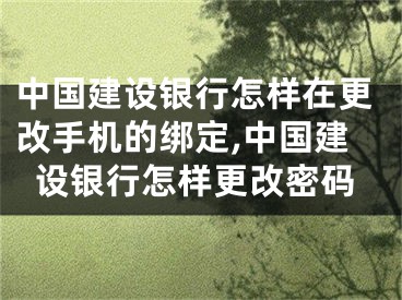 中國建設(shè)銀行怎樣在更改手機(jī)的綁定,中國建設(shè)銀行怎樣更改密碼