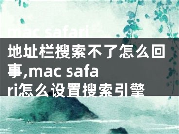 mac safari地址欄搜索不了怎么回事,mac safari怎么設置搜索引擎