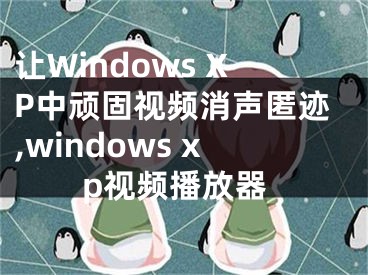 讓W(xué)indows XP中頑固視頻消聲匿跡,windows xp視頻播放器