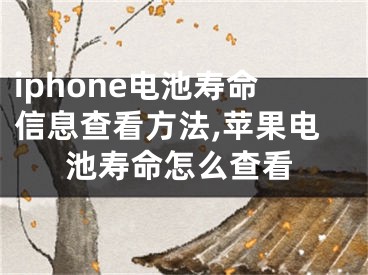 iphone電池壽命信息查看方法,蘋(píng)果電池壽命怎么查看