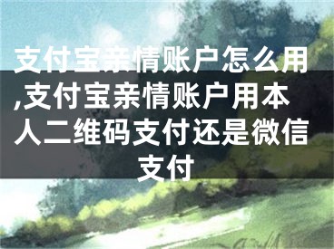 支付寶親情賬戶怎么用,支付寶親情賬戶用本人二維碼支付還是微信支付