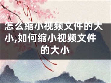 怎么縮小視頻文件的大小,如何縮小視頻文件的大小