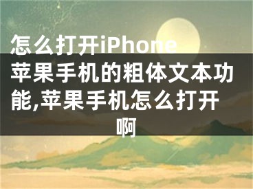 怎么打開iPhone蘋果手機的粗體文本功能,蘋果手機怎么打開啊