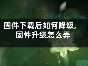 固件下載后如何降級,固件升級怎么弄