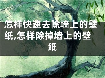 怎樣快速去除墻上的壁紙,怎樣除掉墻上的壁紙