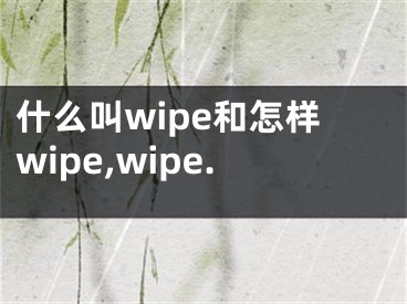 什么叫wipe和怎樣wipe,wipe.