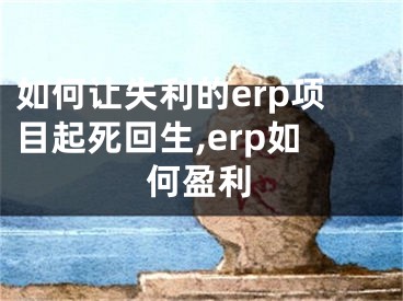 如何讓失利的erp項目起死回生,erp如何盈利