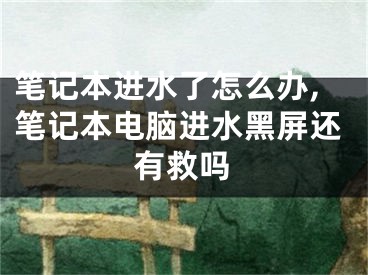 筆記本進(jìn)水了怎么辦,筆記本電腦進(jìn)水黑屏還有救嗎