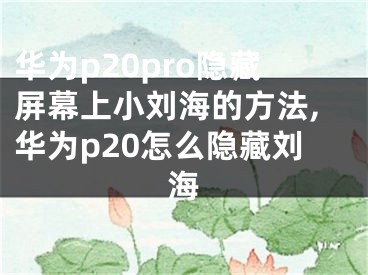 華為p20pro隱藏屏幕上小劉海的方法,華為p20怎么隱藏劉海