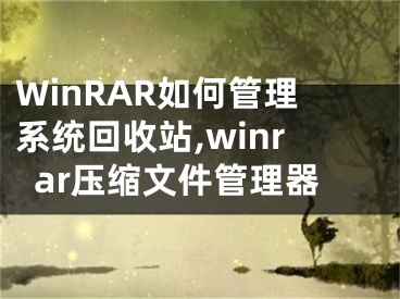 WinRAR如何管理系統(tǒng)回收站,winrar壓縮文件管理器