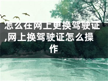 怎么在網(wǎng)上更換駕駛證,網(wǎng)上換駕駛證怎么操作