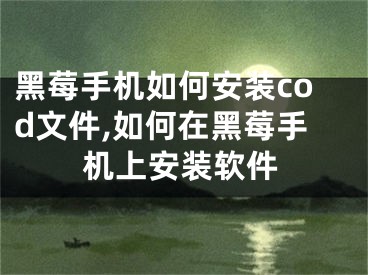 黑莓手機(jī)如何安裝cod文件,如何在黑莓手機(jī)上安裝軟件