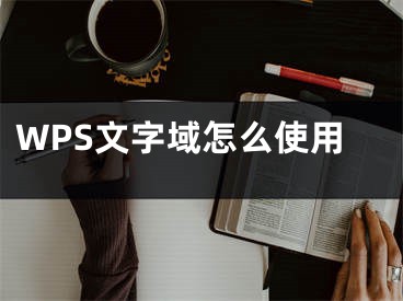 WPS文字域怎么使用