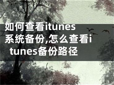 如何查看itunes系統(tǒng)備份,怎么查看itunes備份路徑